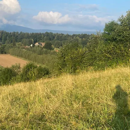 Lejlighed Cichowierzbowo Ściegny